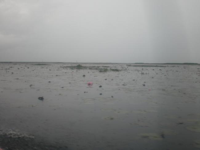 SANY7401.jpg